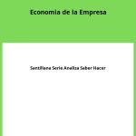 Solucionario Economia de la Empresa 2 Bachillerato Santillana Serie Analiza Saber Hacer PDF
