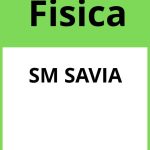 Solucionario Fisica 2 Bachillerato SM SAVIA PDF
