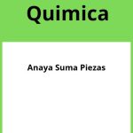 Solucionario Quimica 2 Bachillerato Anaya Suma Piezas PDF